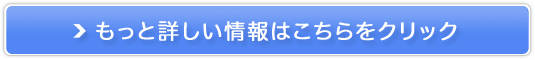 L[o̔TCg